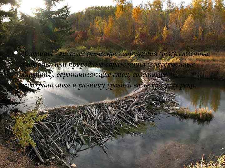  Плотины - гидротехнические сооружения (искусственные плотины) или природные образования (естественные плотины), ограничивающие сток,