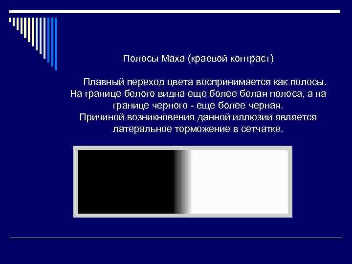 Полосы Маха (краевой контраст) Плавный переход цвета воспринимается как полосы. На границе белого видна