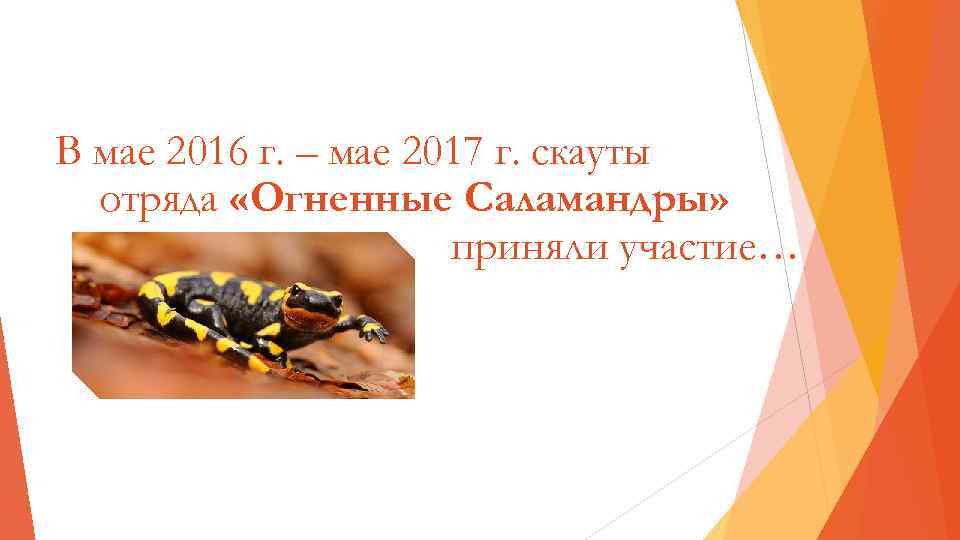 В мае 2016 г. – мае 2017 г. скауты отряда «Огненные Саламандры» приняли участие…
