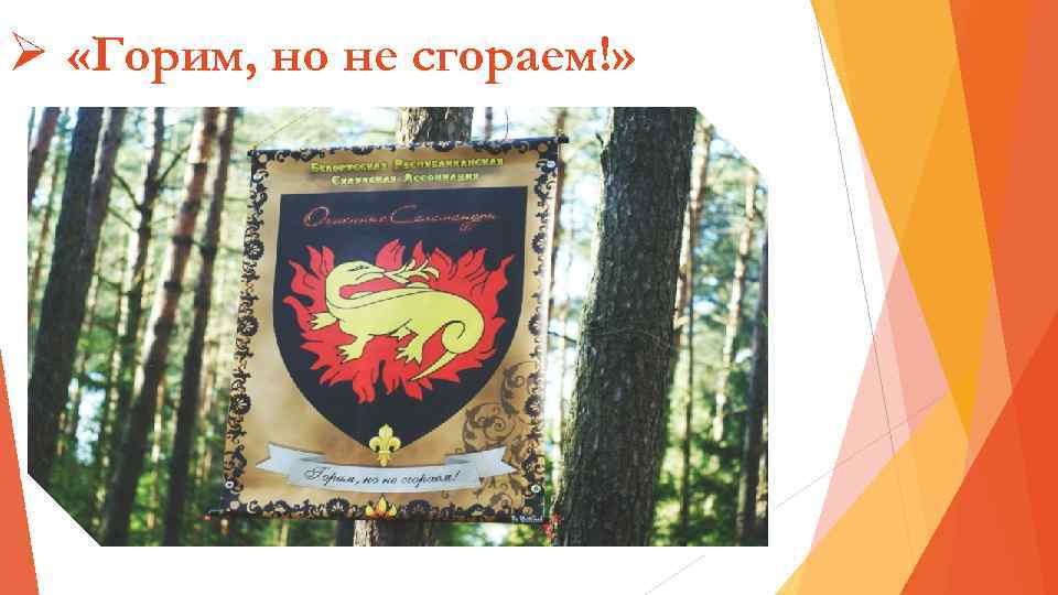 Ø «Горим, но не сгораем!» 