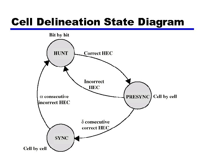 Cell Delineation State Diagram 