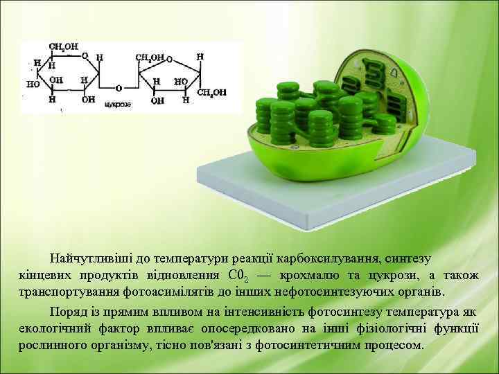 Найчутливіші до температури реакції карбоксилування, синтезу кінцевих продуктів відновлення С 02 — крохмалю та