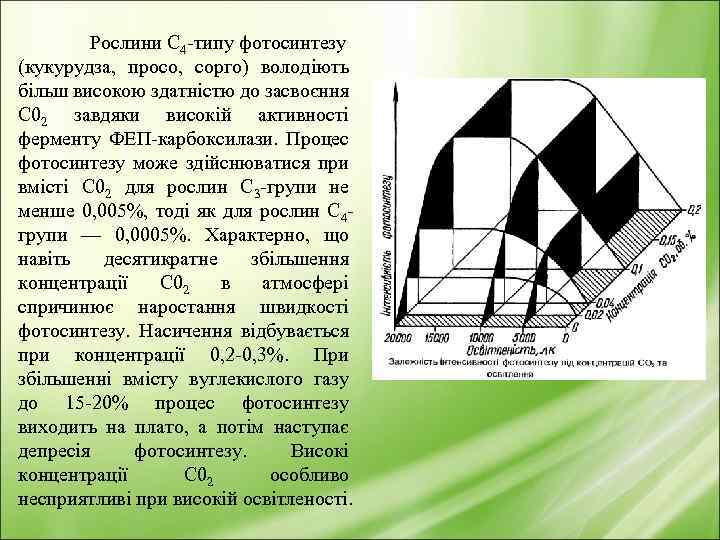 Рослини С 4 -типу фотосинтезу (кукурудза, просо, сорго) володіють більш високою здатністю до засвоєння