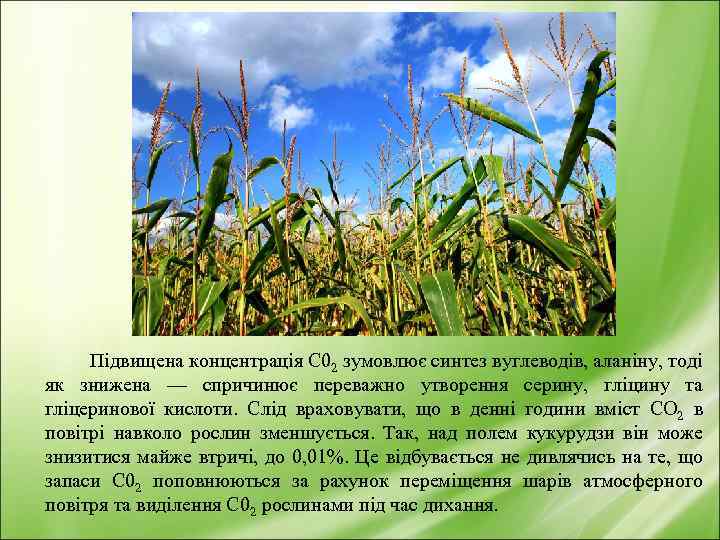 Підвищена концентрація С 02 зумовлює синтез вуглеводів, аланіну, тоді як знижена — спричинює переважно