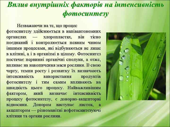 Вплив внутрішніх факторів на інтенсивність фотосинтезу Незважаючи на те, що процес фотосинтезу здійснюється в