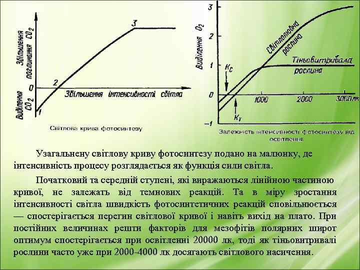 Узагальнену світлову криву фотосинтезу подано на малюнку, де інтенсивність процесу розглядається як функція сили
