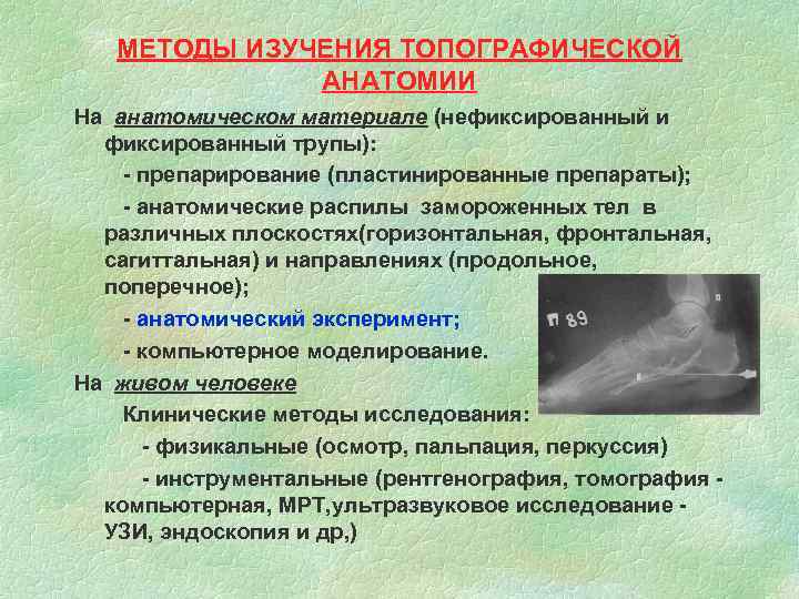 МЕТОДЫ ИЗУЧЕНИЯ ТОПОГРАФИЧЕСКОЙ АНАТОМИИ На анатомическом материале (нефиксированный и фиксированный трупы): - препарирование (пластинированные