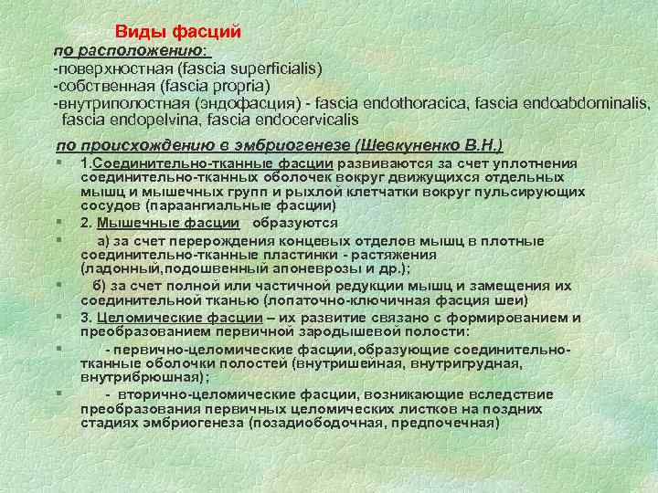 Виды фасций по расположению: -поверхностная (fascia superficialis) -собственная (fascia propria) -внутриполостная (эндофасция) - fascia