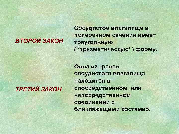 ВТОРОЙ ЗАКОН Сосудистое влагалище в поперечном сечении имеет треугольную (“призматическую”) форму. ТРЕТИЙ ЗАКОН Одна