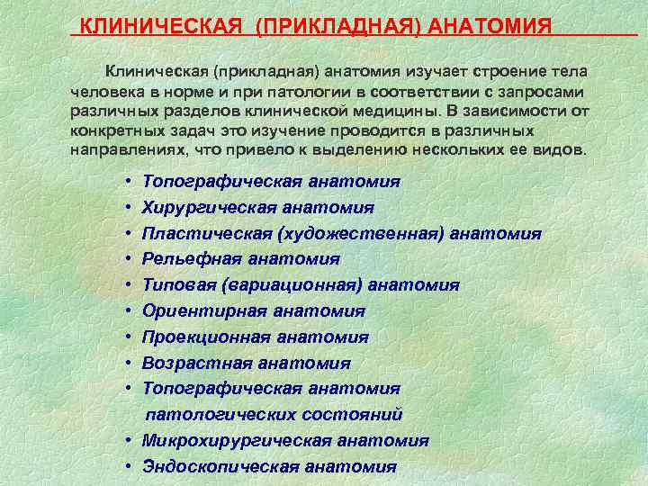 Методы исследования клинической анатомии