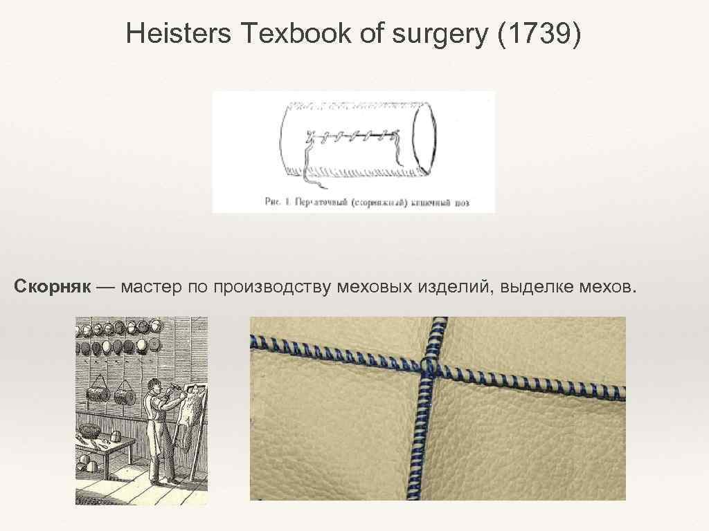 Heisters Texbook of surgery (1739) Скорняк — мастер по производству меховых изделий, выделке мехов.