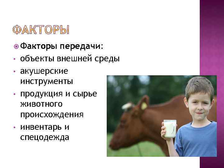  Факторы • • передачи: объекты внешней среды акушерские инструменты продукция и сырье животного