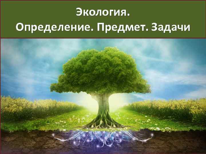 Экология. Определение. Предмет. Задачи 