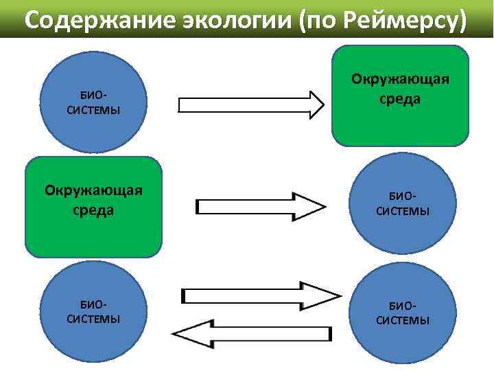 Содержание экологии (по Реймерсу) БИОСИСТЕМЫ Окружающая среда БИОСИСТЕМЫ 