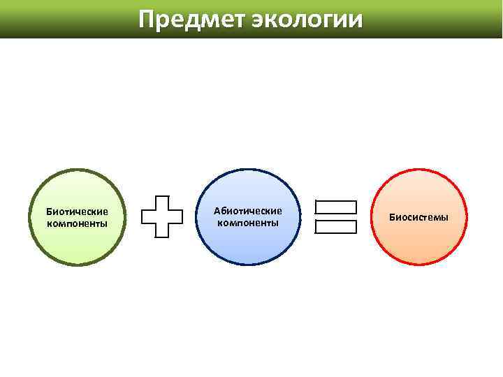 Предмет экологии Биотические компоненты Абиотические компоненты Биосистемы 