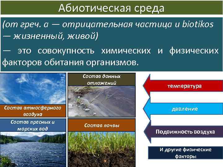 Абиотическая среда (от греч. а — отрицательная частица и biotikos — жизненный, живой) —