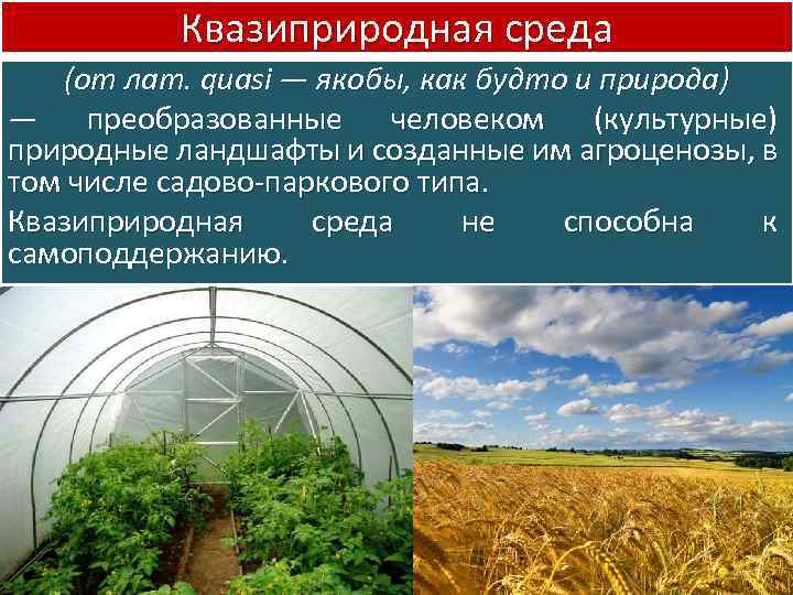 Квазиприродная среда (от лат. quasi — якобы, как будто и природа) — преобразованные человеком