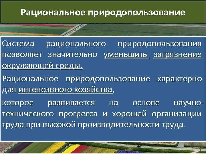 Рациональное природопользование Система рационального природопользования позволяет значительно уменьшить загрязнение окружающей среды. Рациональное природопользование характерно