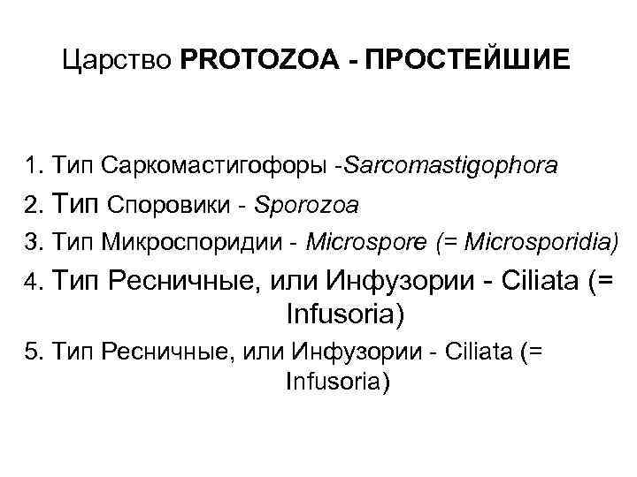 Царство PROTOZOA - ПРОСТЕЙШИЕ 1. Тип Саркомастигофоры -Sarcomastigophora 2. Тип Споровики - Sporozoa 3.