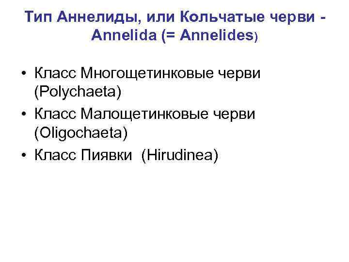 Тип Аннелиды, или Кольчатые черви Annelida (= Annelides) • Класс Многощетинковые черви (Polychaeta) •