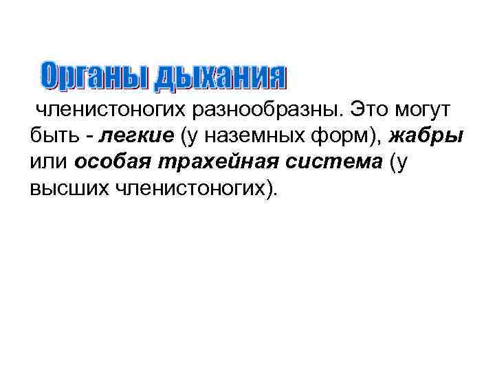 членистоногих разнообразны. Это могут быть - легкие (у наземных форм), жабры или особая трахейная