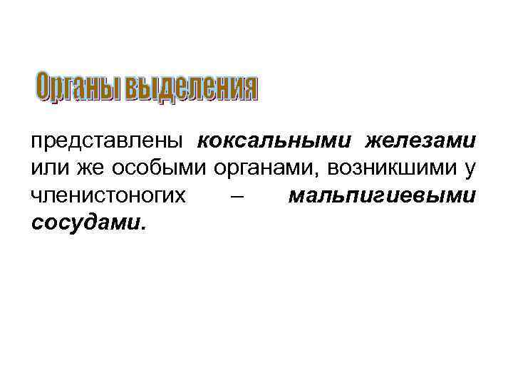 представлены коксальными железами или же особыми органами, возникшими у членистоногих – мальпигиевыми сосудами. 