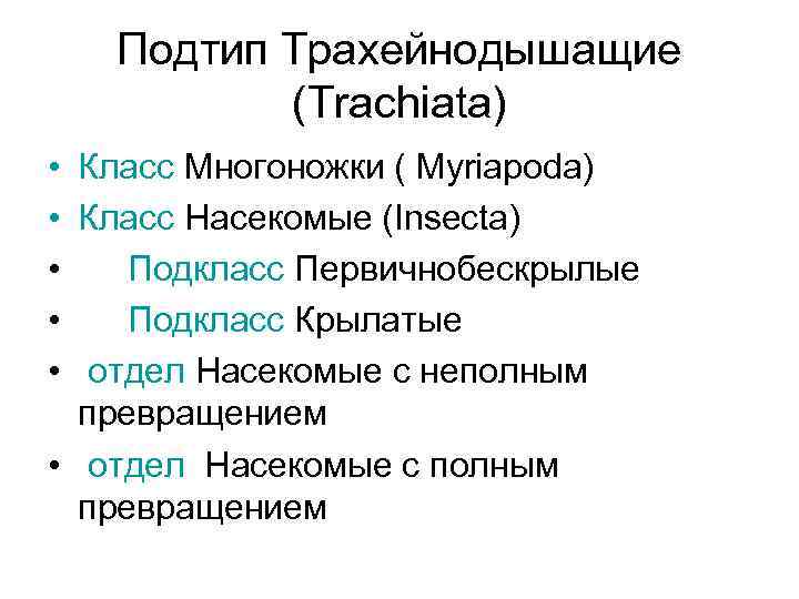 Подтип Трахейнодышащие (Trachiata) • Класс Многоножки ( Myriapoda) • Класс Насекомые (Insecta) • Подкласс