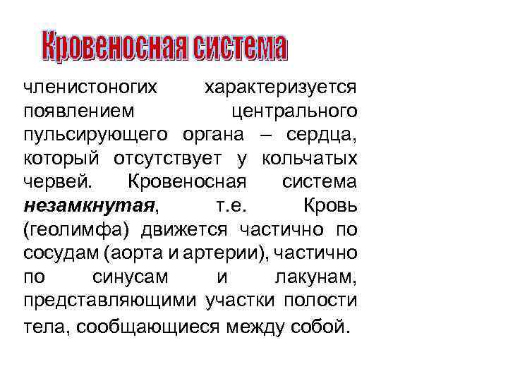 членистоногих характеризуется появлением центрального пульсирующего органа – сердца, который отсутствует у кольчатых червей. Кровеносная