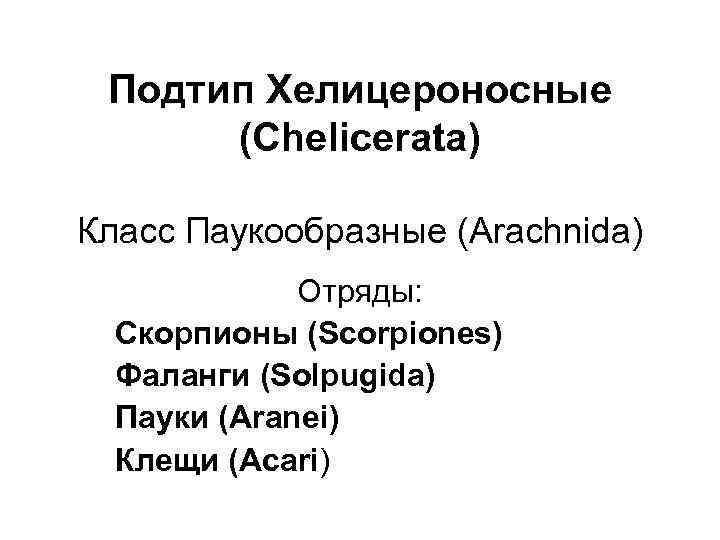 Подтип Хелицероносные (Chelicerata) Класс Паукообразные (Arachnida) Отряды: Скорпионы (Scorpiones) Фаланги (Solpugida) Пауки (Aranei) Клещи