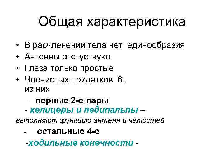 Общая характеристика • • В расчленении тела нет единообразия Антенны отстуствуют Глаза только простые