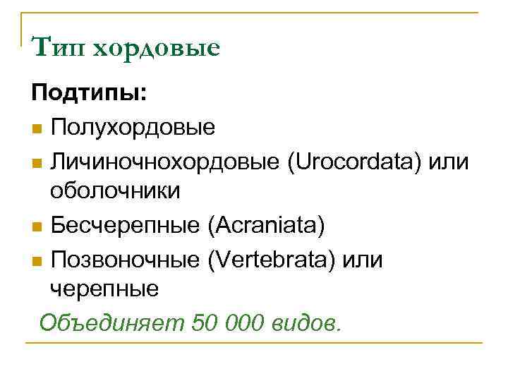 Тип хордовые Подтипы: n Полухордовые n Личиночнохордовые (Urocordata) или оболочники n Бесчерепные (Acraniata) n