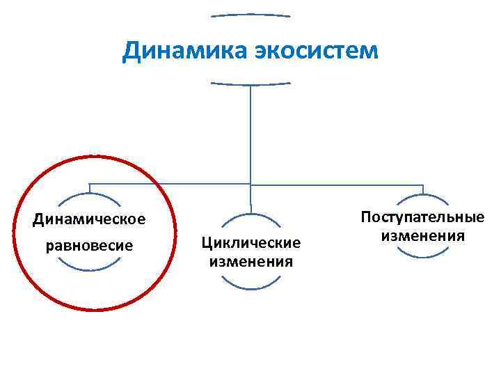 Динамика экосистем Динамическое равновесие Циклические изменения Поступательные изменения 