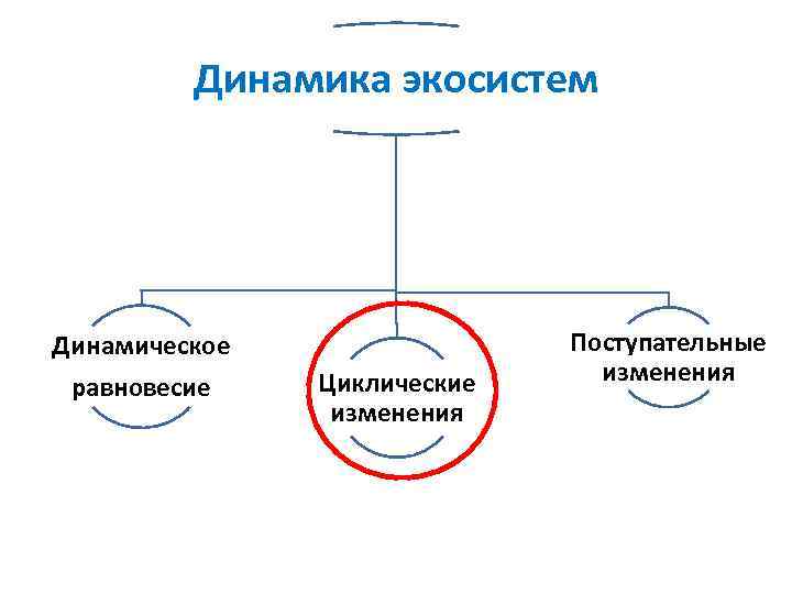 Динамика экосистем Динамическое равновесие Циклические изменения Поступательные изменения 