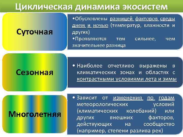 Циклическая динамика экосистем Суточная • Обусловлены разницей факторов среды днем и ночью (температур, влажности