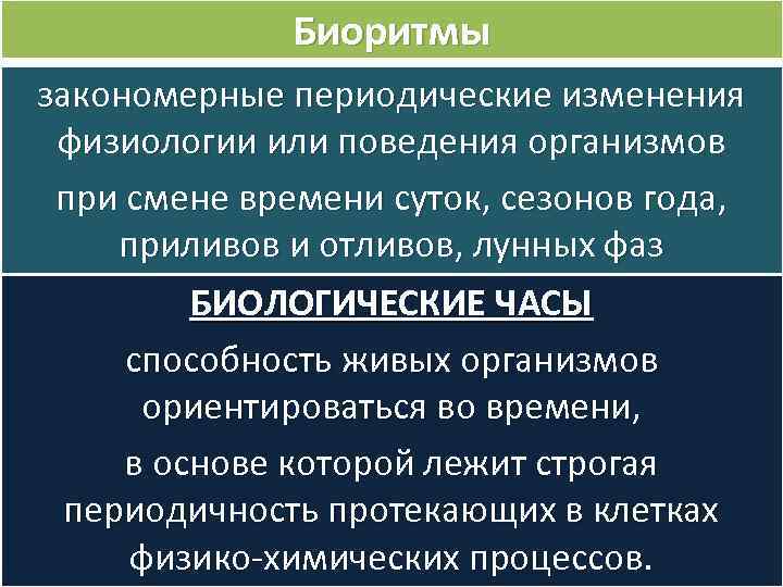 Биоритмы закономерные периодические изменения физиологии или поведения организмов при смене времени суток, сезонов года,