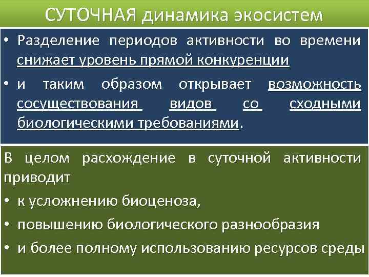 СУТОЧНАЯ динамика экосистем • Разделение периодов активности во времени снижает уровень прямой конкуренции •