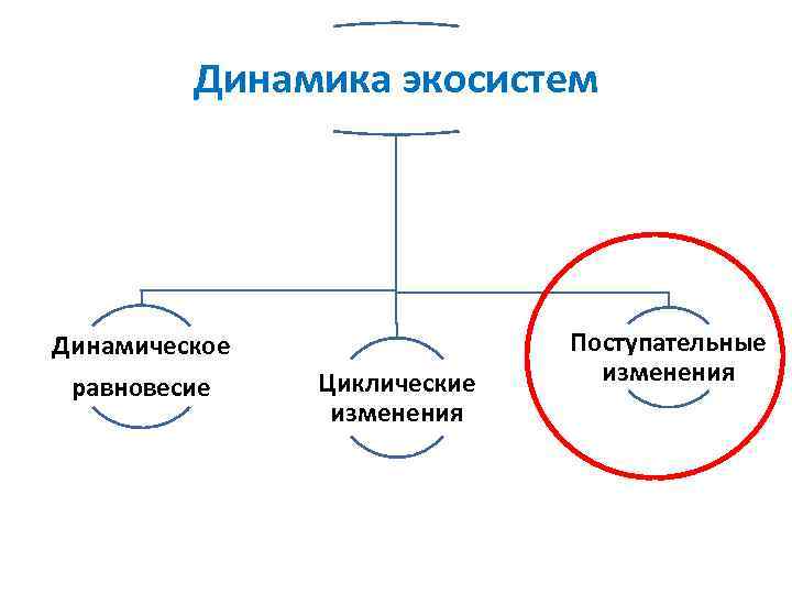 Динамика экосистем Динамическое равновесие Циклические изменения Поступательные изменения 