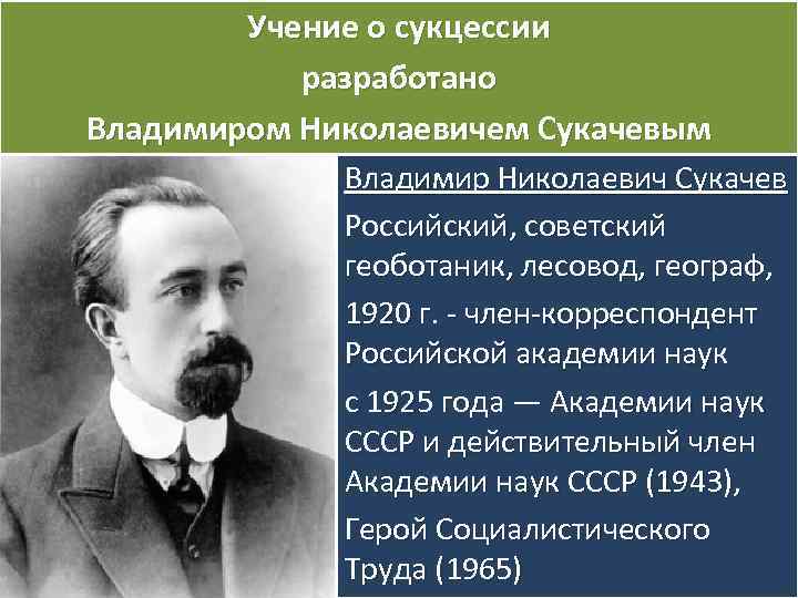 Учение о сукцессии разработано Владимиром Николаевичем Сукачевым Владимир Николаевич Сукачев Российский, советский геоботаник, лесовод,