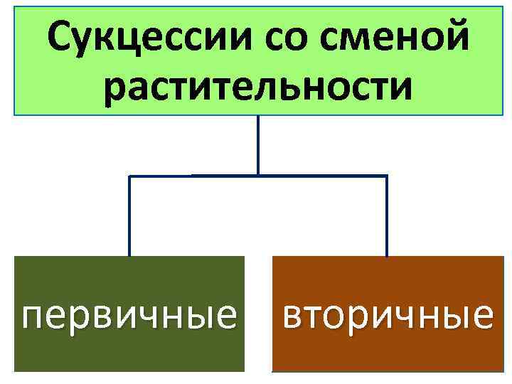 Сукцессии со сменой растительности первичные вторичные 