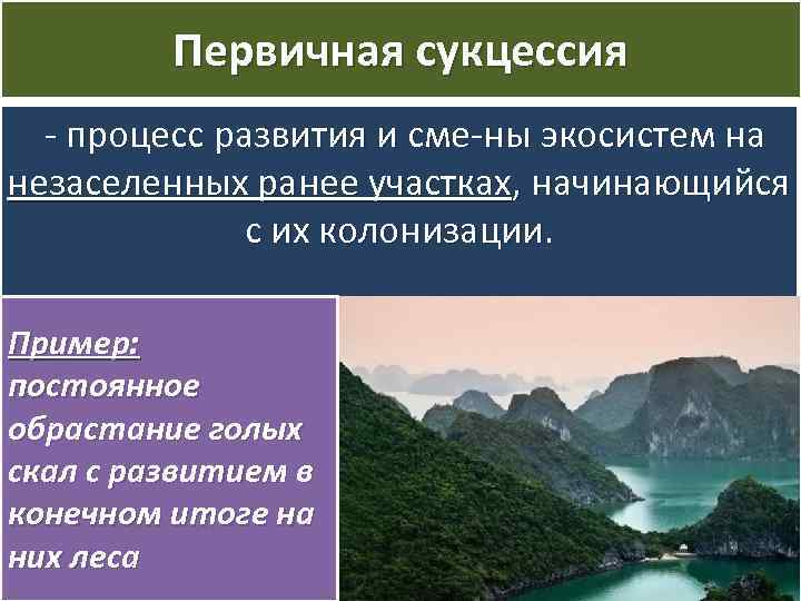 Первичная сукцессия процесс развития и сме ны экосистем на незаселенных ранее участках, начинающийся с