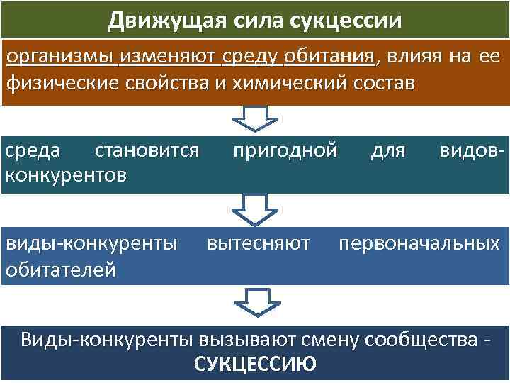 Движущая сила сукцессии организмы изменяют среду обитания, влияя на ее физические свойства и химический