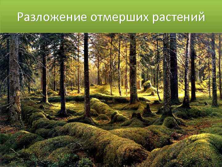 Динамическое равновесие фото