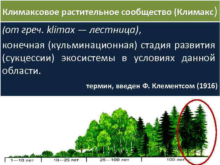 Климаксовое растительное сообщество (Климакс) (от греч. klimax — лестница), конечная (кульминационная) стадия развития (сукцессии)