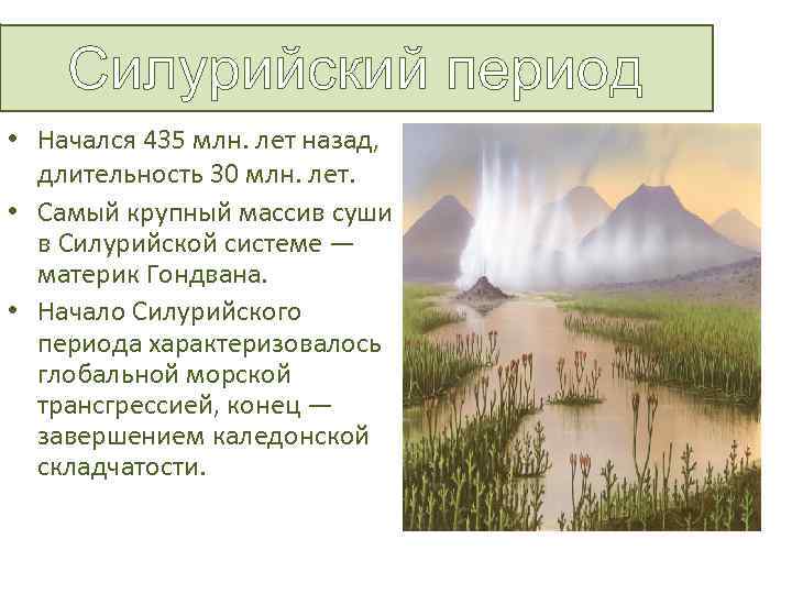 Силурийский период • Начался 435 млн. лет назад, длительность 30 млн. лет. • Самый