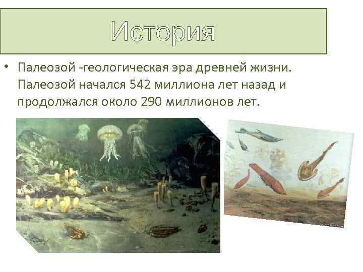 История • Палеозой -геологическая эра древней жизни. Палеозой начался 542 миллиона лет назад и
