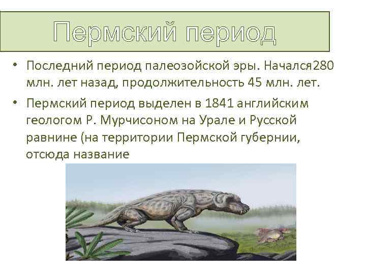 Пермский период • Последний период палеозойской эры. Начался 280 млн. лет назад, продолжительность 45