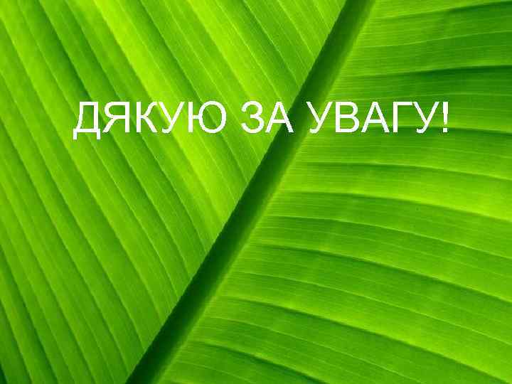 ДЯКУЮ ЗА УВАГУ! 