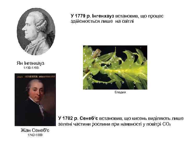 У 1779 р. Інгенхауз встановив, що процес здійснюється лише на світлі Ян Інгенхауз 1730