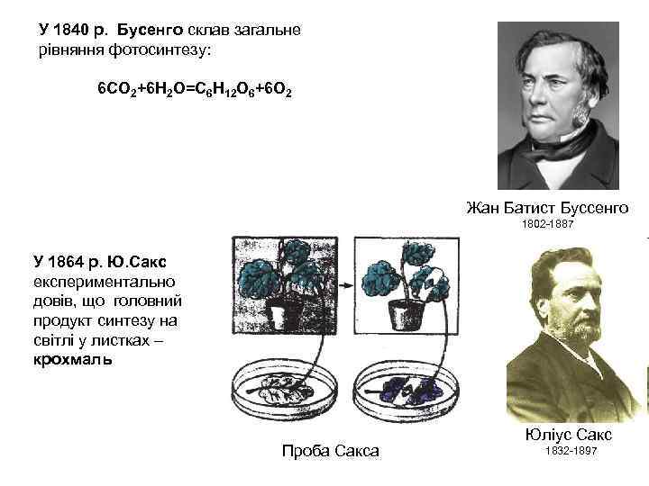 У 1840 р. Бусенго склав загальне рівняння фотосинтезу: 6 СО 2+6 Н 2 О=С