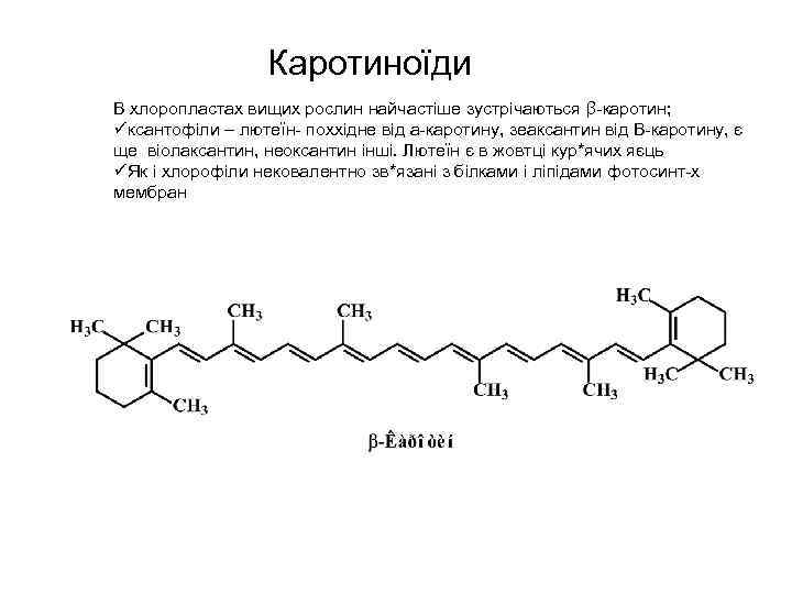 Каротиноїди В хлоропластах вищих рослин найчастіше зустрічаються β каротин; üксантофіли – лютеїн поххідне від